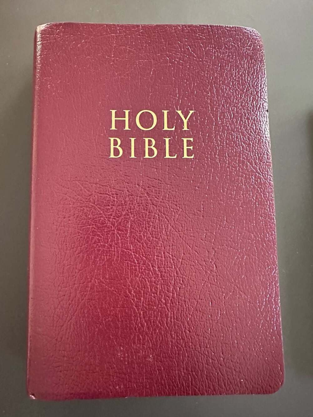 Zondervan Holy Bible NIV Red Letter Edition Burgundy Faux Leather